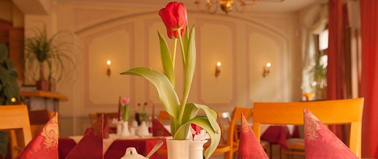 Restaurant, Dresdenzimmer, Sommergarten, Tagungsraum, Weinkeller - Café Friedrichstadt